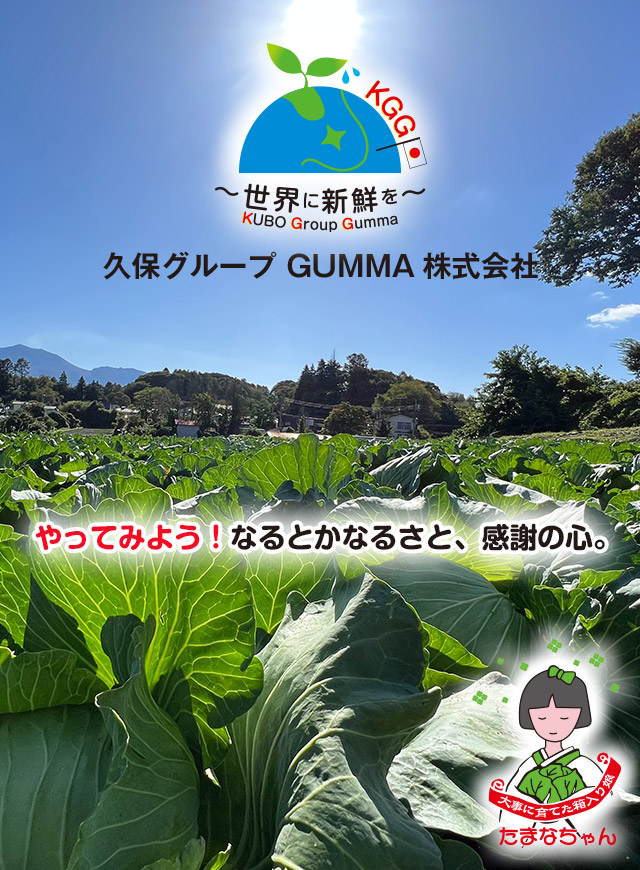 幻のキャベツ419直売！北軽井沢の久保農園・新鮮野菜直売所｜求人募集